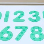 School Stationery Supplies