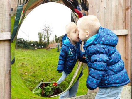 GIANT SINGLE DOME ACRYLIC MIRROR PANEL-COM - Image 2