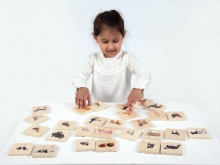 DOMESTIC ANIMAL FAMILY MATCH-COM - Image 1