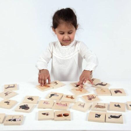 DOMESTIC ANIMAL FAMILY MATCH-COM - Image 1