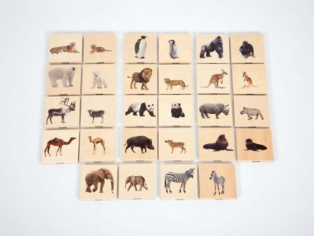 WILD ANIMAL FAMILY MATCH-COM - Image 1