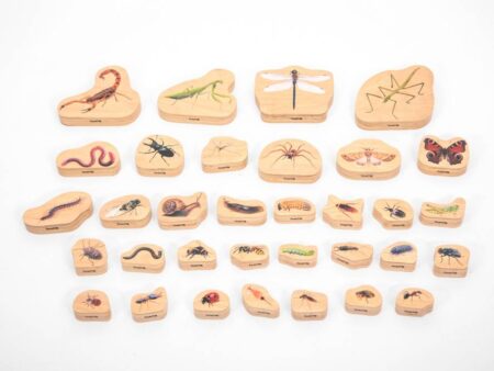 WOODEN MINIBEAST BLOCKS-COM - Image 2