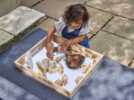 WOODEN MIRROR TRAY-COM - Image 1