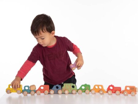 RAINBOW WOODEN COMMUNITY VEHICLES-COM - Image 2