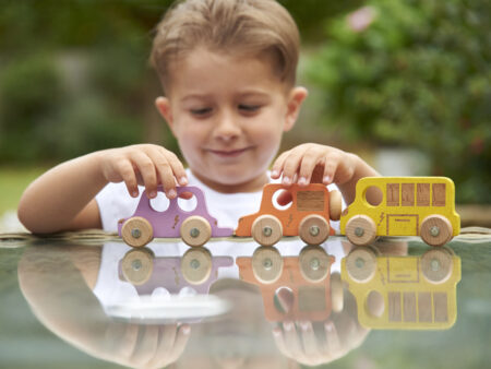 RAINBOW WOODEN CITY E-VEHICLES-COM - Image 1