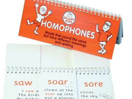 Homophones - flip book-SK - Image 1