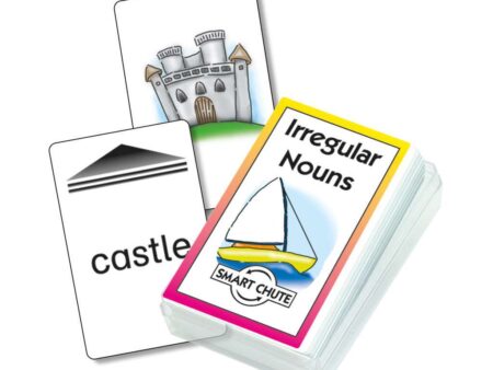 Irregular Nouns Cards-SK - Image 1
