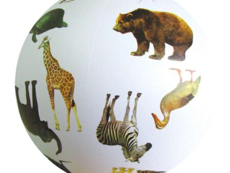 Animal Ball-SK - Image 1