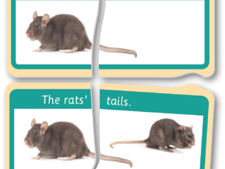 Possession Apostrophe-SK - Image 1