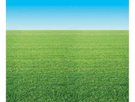 Summer Horizon  Display Paper Roll-EYR - Image 1
