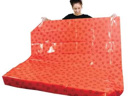 Blue Giant Teddy Splash Mat-EYR - Image 3