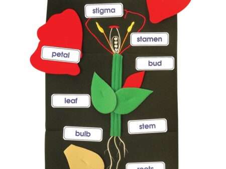 Plant In A Pocket-EYR - Image 1