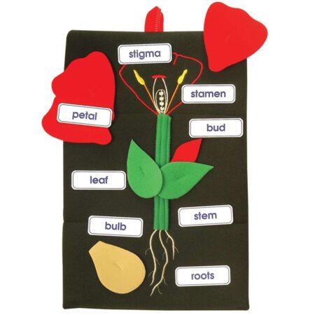 School Stationery Supplies Plant In A Pocket-EYR - Image 1