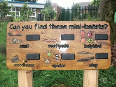 Can You Find Minibeast Outdoor Board-EYR - Image 1