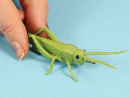 Mini Insects Set-EYR - Image 2