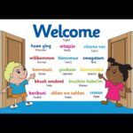 School Stationery Supplies