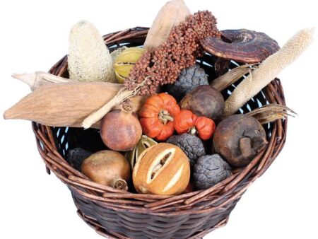 Pod and Fruit Basket-EYR - Image 1