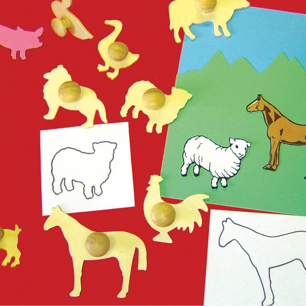 1443617865-26968100.jpg School Stationery Supplies