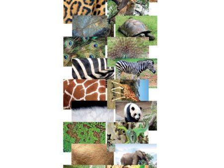 Nature's Attire Photo Pack-EYR - Image 1