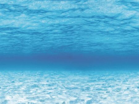 Fadeless Design Paper Roll - Ocean (5652-8)-EYR - Image 1