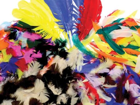 Craft Feathers Classpack-EYR - Image 1