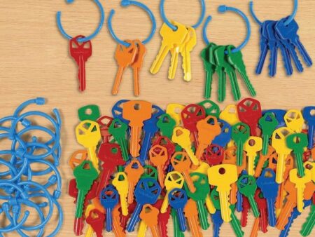 Lakeshore Counting Keys-EYR - Image 1