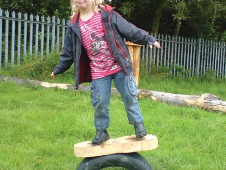 Wobble Foot Playground Balance Board-EYR - Image 2