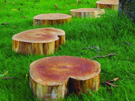 Wooden Stepping Stones (set Of 6)-EYR - Image 1