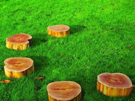 Wooden Stepping Stones (set Of 6)-EYR - Image 2