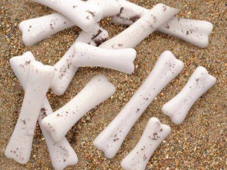 Dinosaur Bones Discovery Set-EYR - Image 1