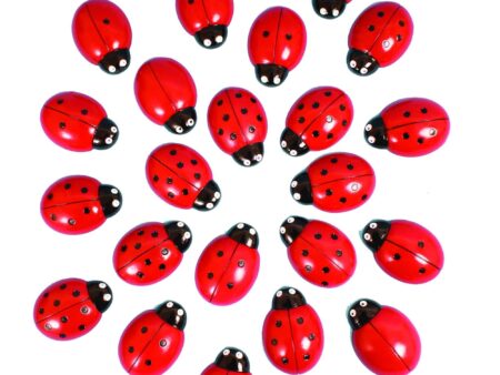 Ladybugs Counting Set-EYR - Image 1