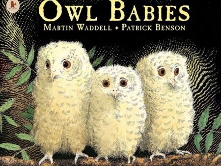 Owl Babies by Martin Waddell & Patrick Benson-EYR - Image 1