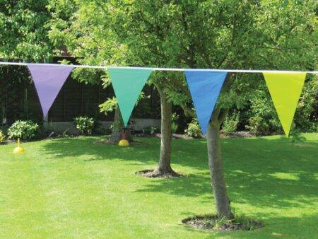 Multi-coloured Bunting-EYR - Image 1