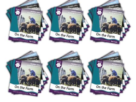 Non-fiction Readers Phase 3-SK - Image 1