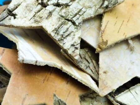 Bark Stars Pack 25-CICA - Image 1