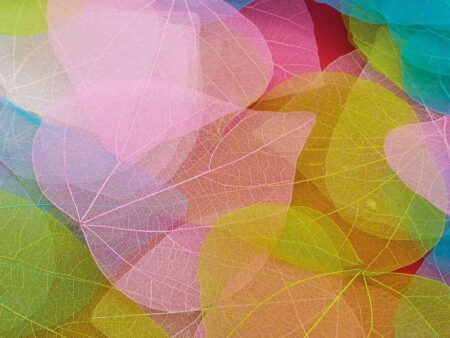 Heart Leaves Pack 20-CICA - Image 1