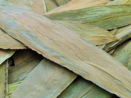 Bamboo Leaves 120G-CICA - Image 1