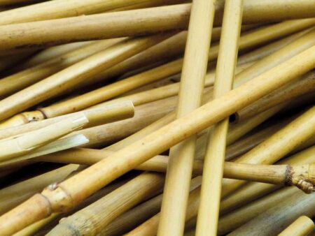 Long Sticks Bamboo 500G-CICA - Image 1