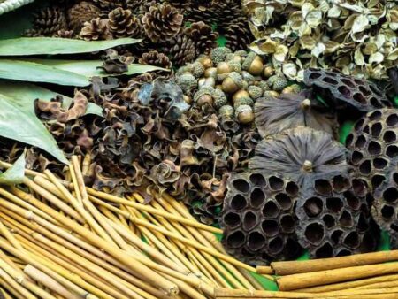 Botanical Treasure Basket-CICA - Image 1