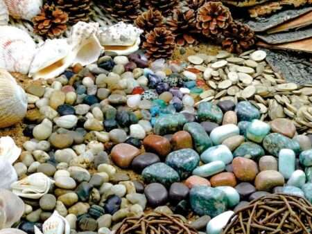 Natural Exploration Treasure Basket-CICA - Image 1