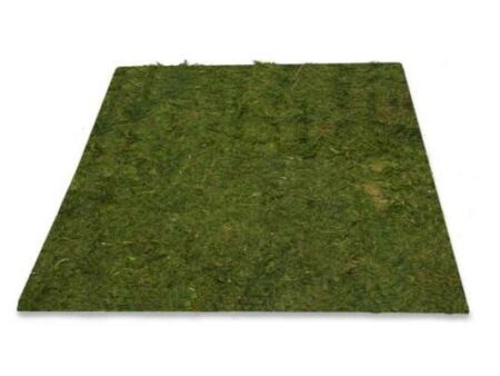 Artifical Grass-CICA - Image 1