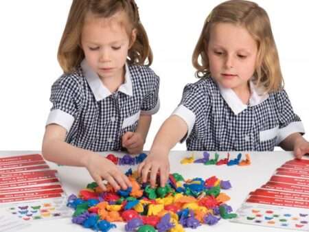 Counting And Sorting Bugs (Attribute Bugs)-CICA - Image 1