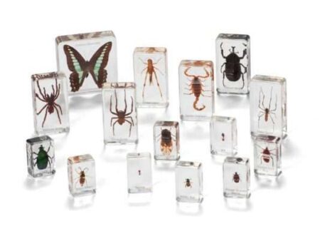Mini Beasts Insects And Spiders (Large Set)-CICA - Image 1