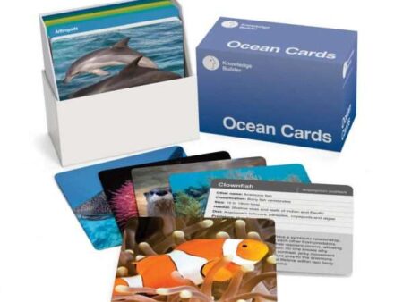 Ocean Cards-CICA - Image 1