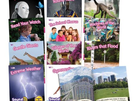 Sound Families Consonants Non-Fiction Phase 5.5-JL - Image 1