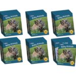 School Stationery Supplies