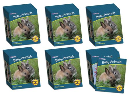 Letters & Sounds Phase 1 Set 2 Non-Fiction - 6 Pack-JL - Image 1