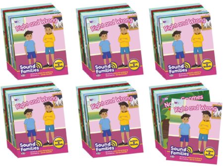 Sound Families Consonants Fiction Phase 5.5 - 6 pack-JL - Image 1