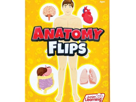 Anatomy Flips-JL - Image 1