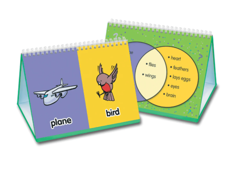 Same/Different Flip Book-SK - Image 1